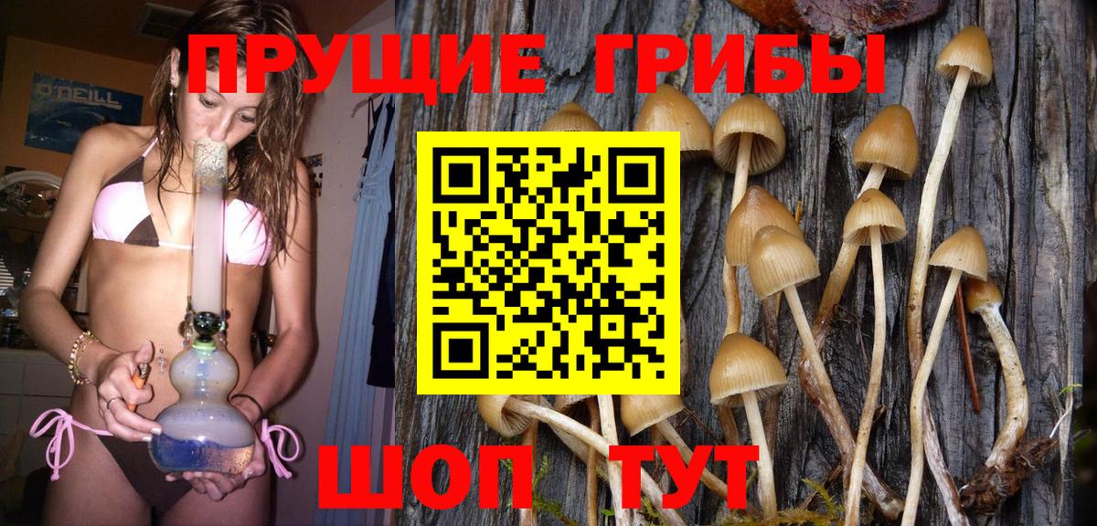 даркнет сайт  Галлюциногенные грибы MAGIC MUSHROOMS  Вход с VPN  Зеленодольск 