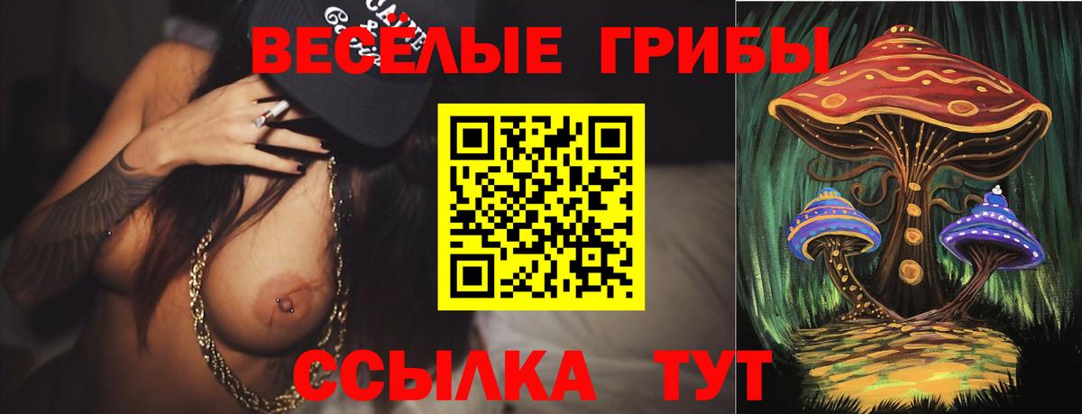 Псилоцибиновые грибы Psilocybine cubensis Зеленодольск